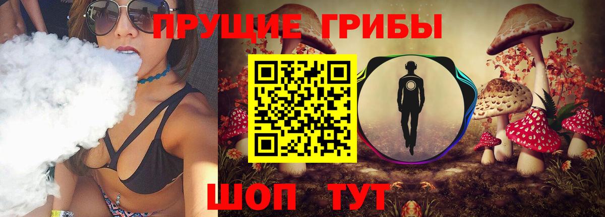 Псилоцибиновые грибы Psilocybe  Вход с VPN  Можга 